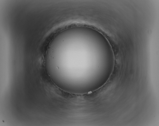 X0000113851495200909241237