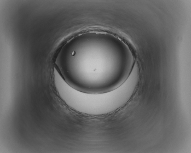 X0000113851496200909241237