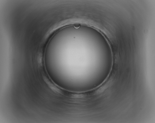 X0000113851499200909241237