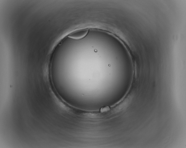 X0000113851500200909241237