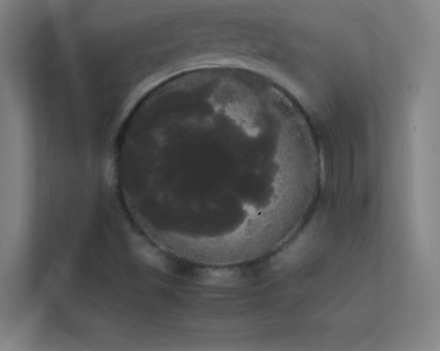 X0000113851501200909241237