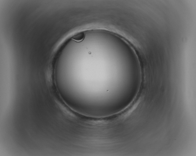 X0000113851502200909241237