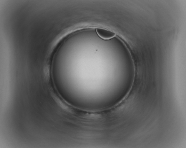 X0000113851503200909241237