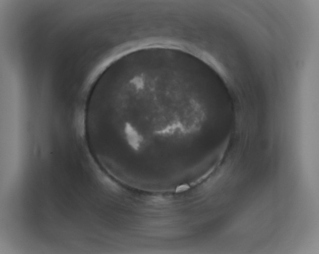 X0000113851504200909241237