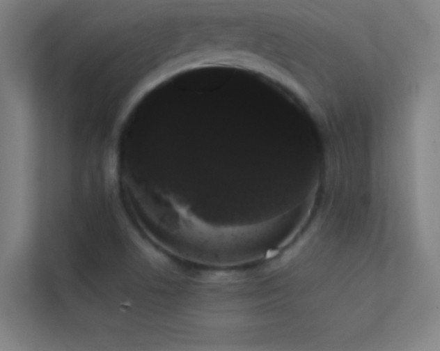 X0000113851506200909241237