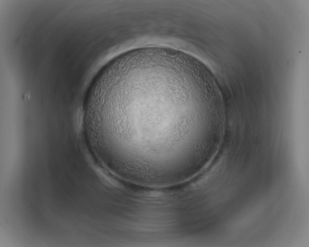 X0000113851507200909241237