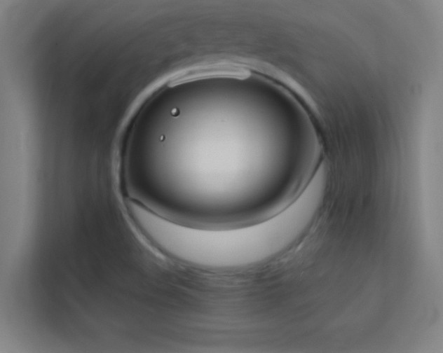 X0000113851508200909241237