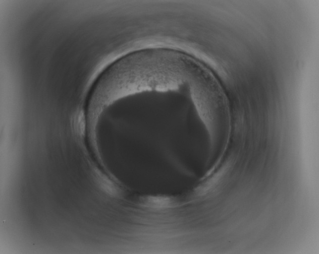 X0000113851509200909241237