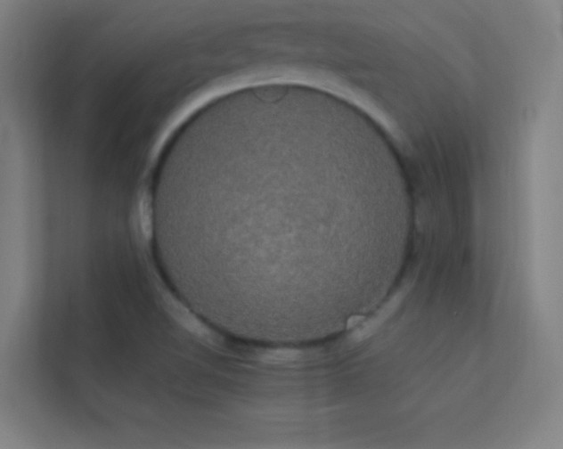 X0000113851510200909241237