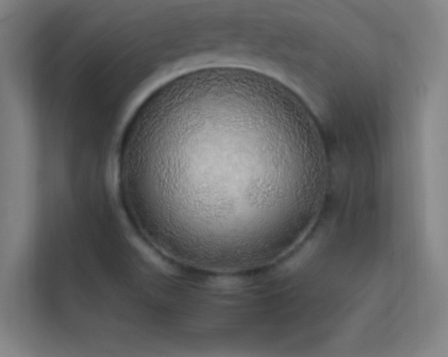 X0000113851511200909241237