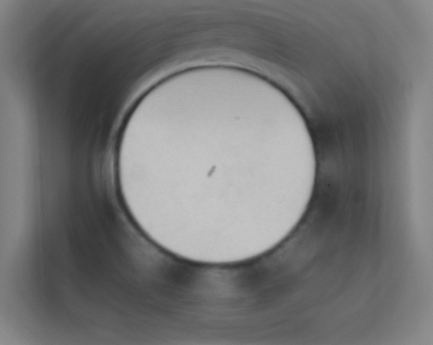 X0000113851514200909241237