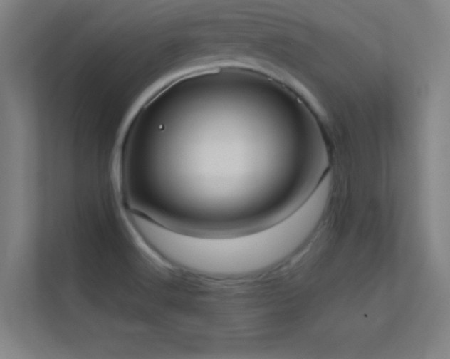 X0000113851516200909241237