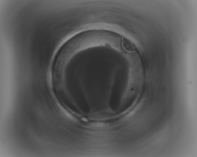 X0000113851517200909241237