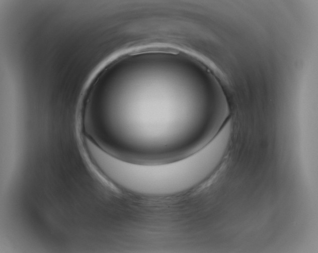 X0000113851518200909241237