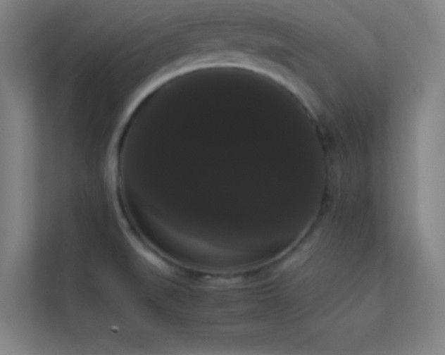 X0000113851519200909241237