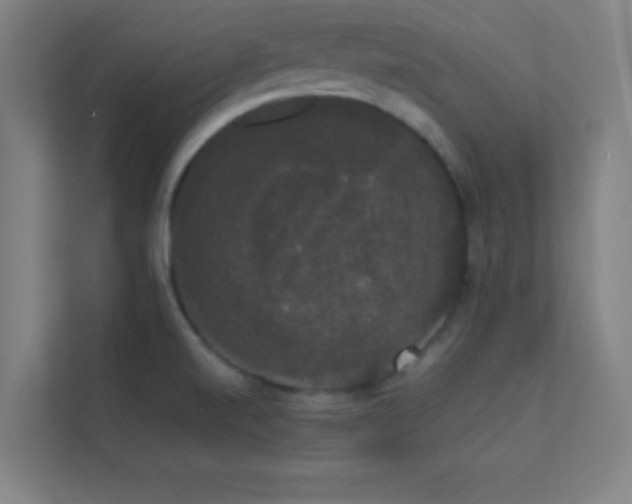 X0000113851520200909241237