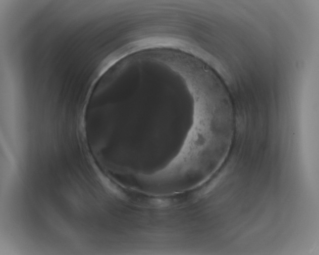 X0000113851521200909241237