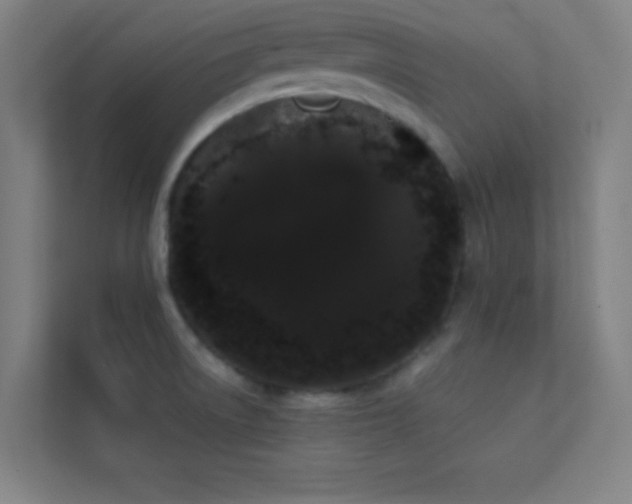 X0000113851522200909241237