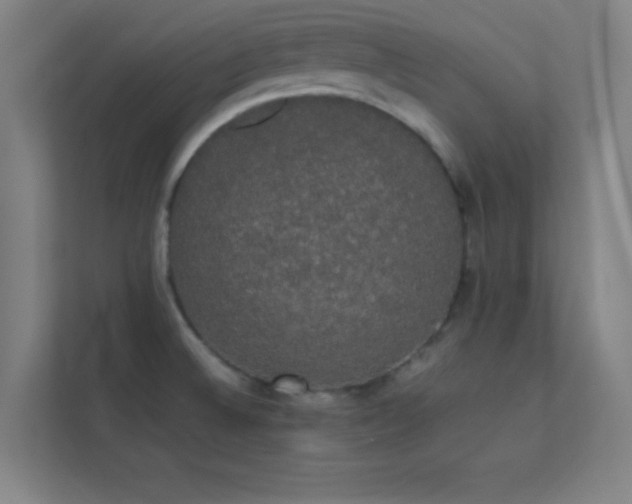 X0000113851524200909241237