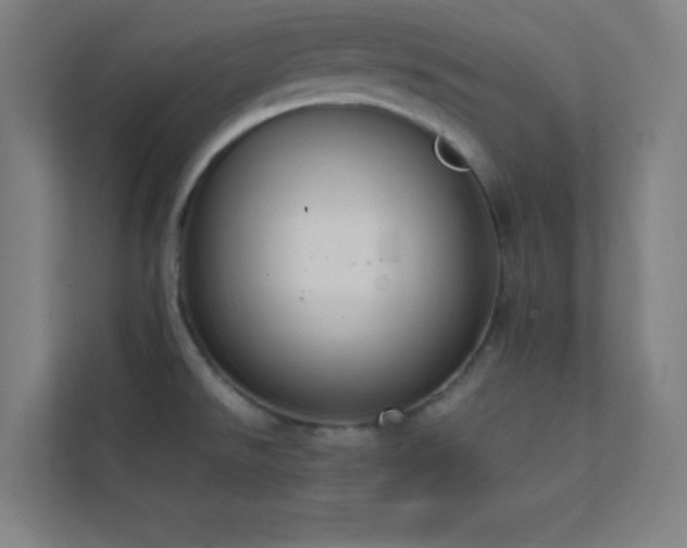 X0000113851526200909241237