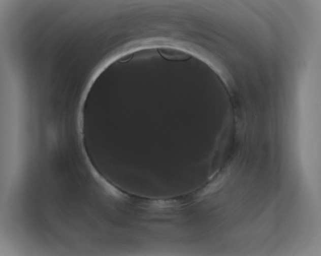 X0000113851527200909241237