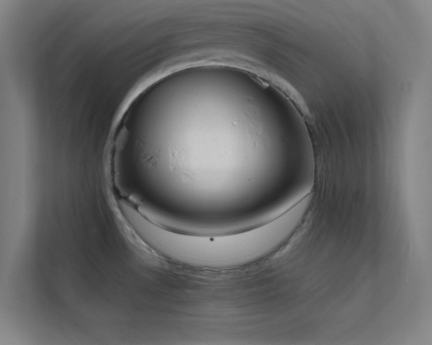 X0000113851530200909241237