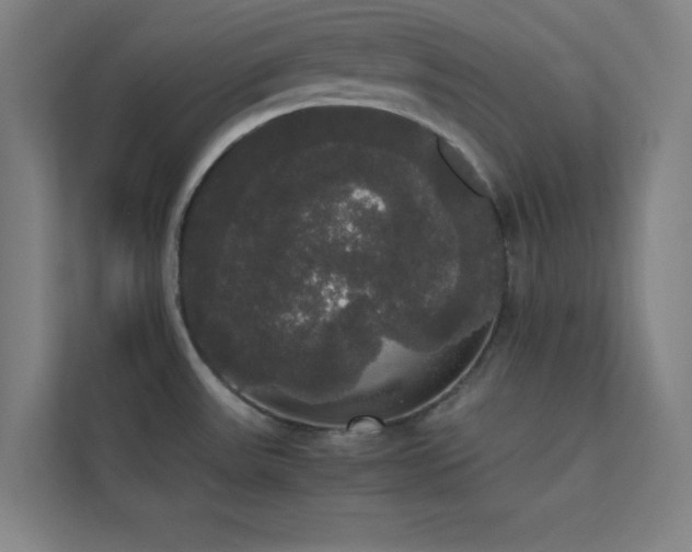 X0000113851531200909241237