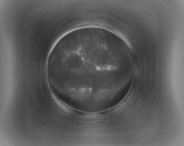 X0000113851532200909241237