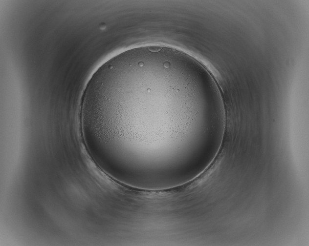 X0000113851534200909241237