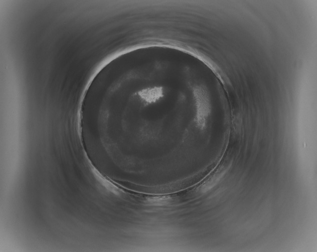 X0000113851535200909241237