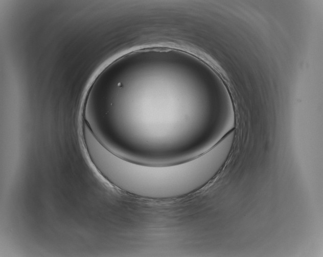 X0000113851536200909241237