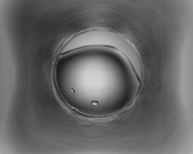 X0000113850001200910011010