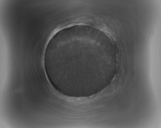 X0000113850003200910011010