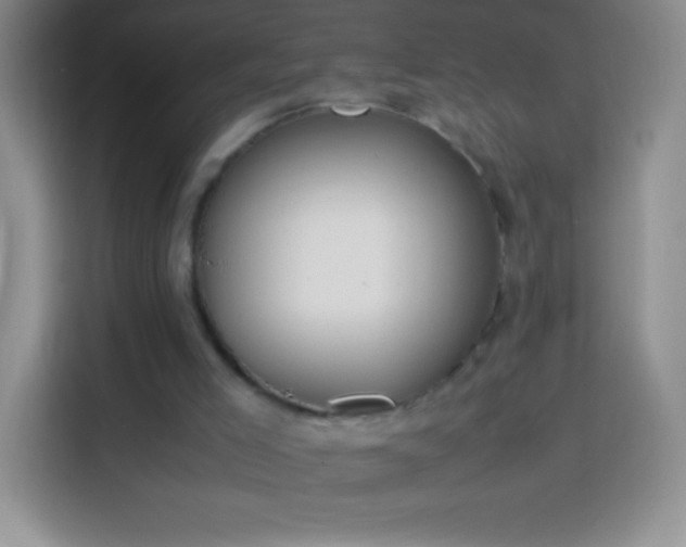 X0000113850005200910011010