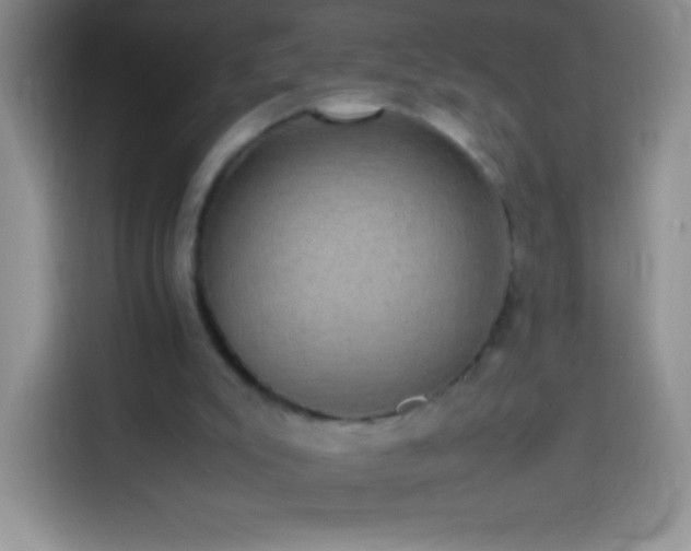 X0000113850007200910011010