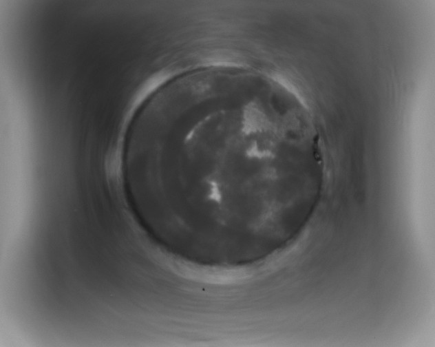 X0000113850008200910011010