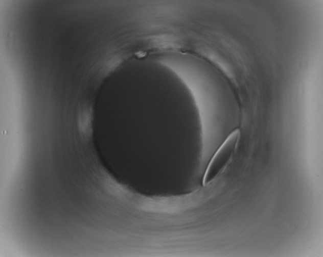 X0000113850009200910011010