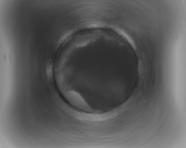 X0000113850010200910011010