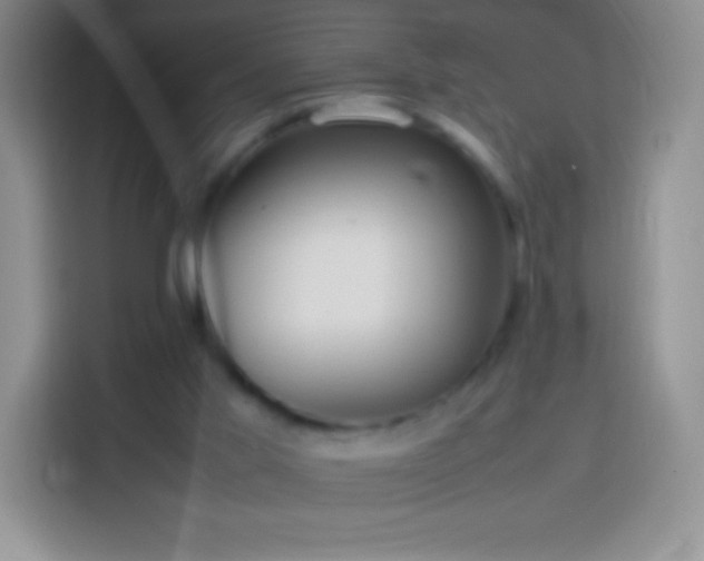 X0000113850013200910011010