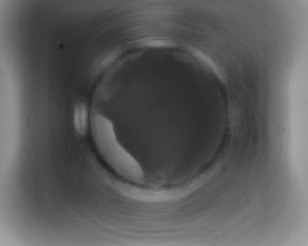 X0000113850014200910011010