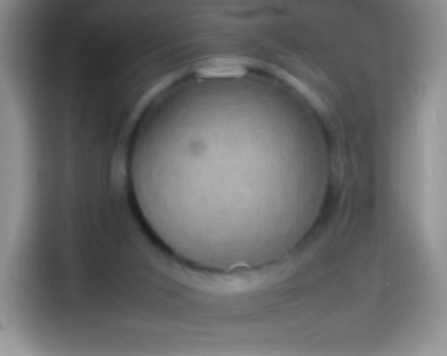 X0000113850015200910011010