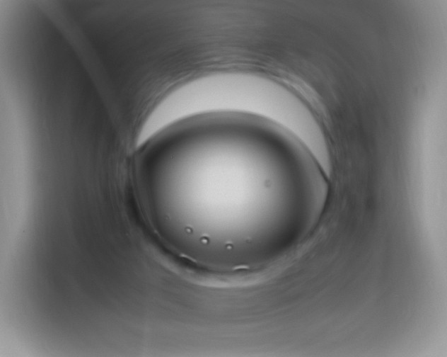 X0000113850017200910011010