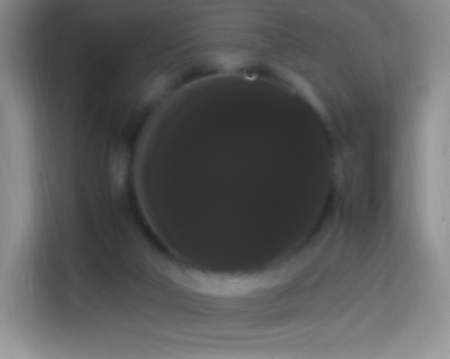 X0000113850018200910011010