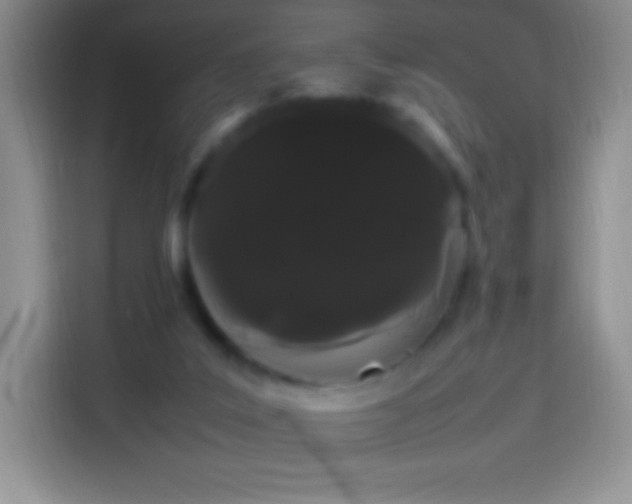 X0000113850019200910011010