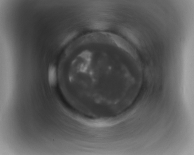 X0000113850020200910011010