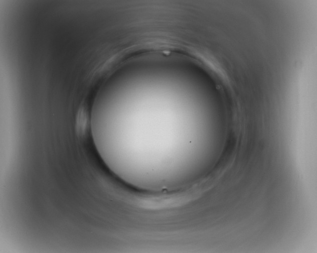 X0000113850021200910011010