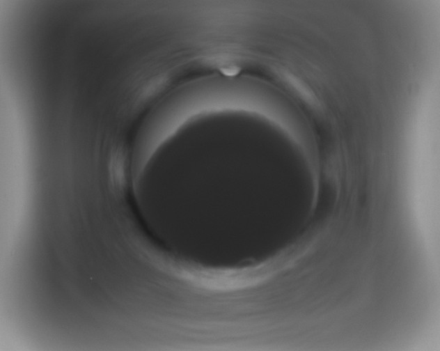 X0000113850023200910011010