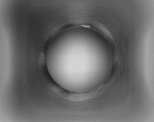 X0000113850025200910011010