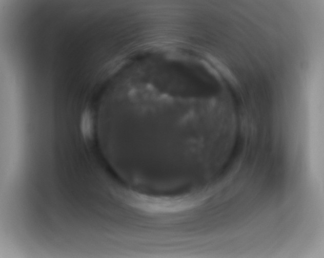 X0000113850026200910011010