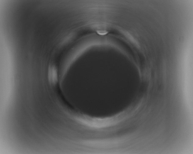 X0000113850027200910011010